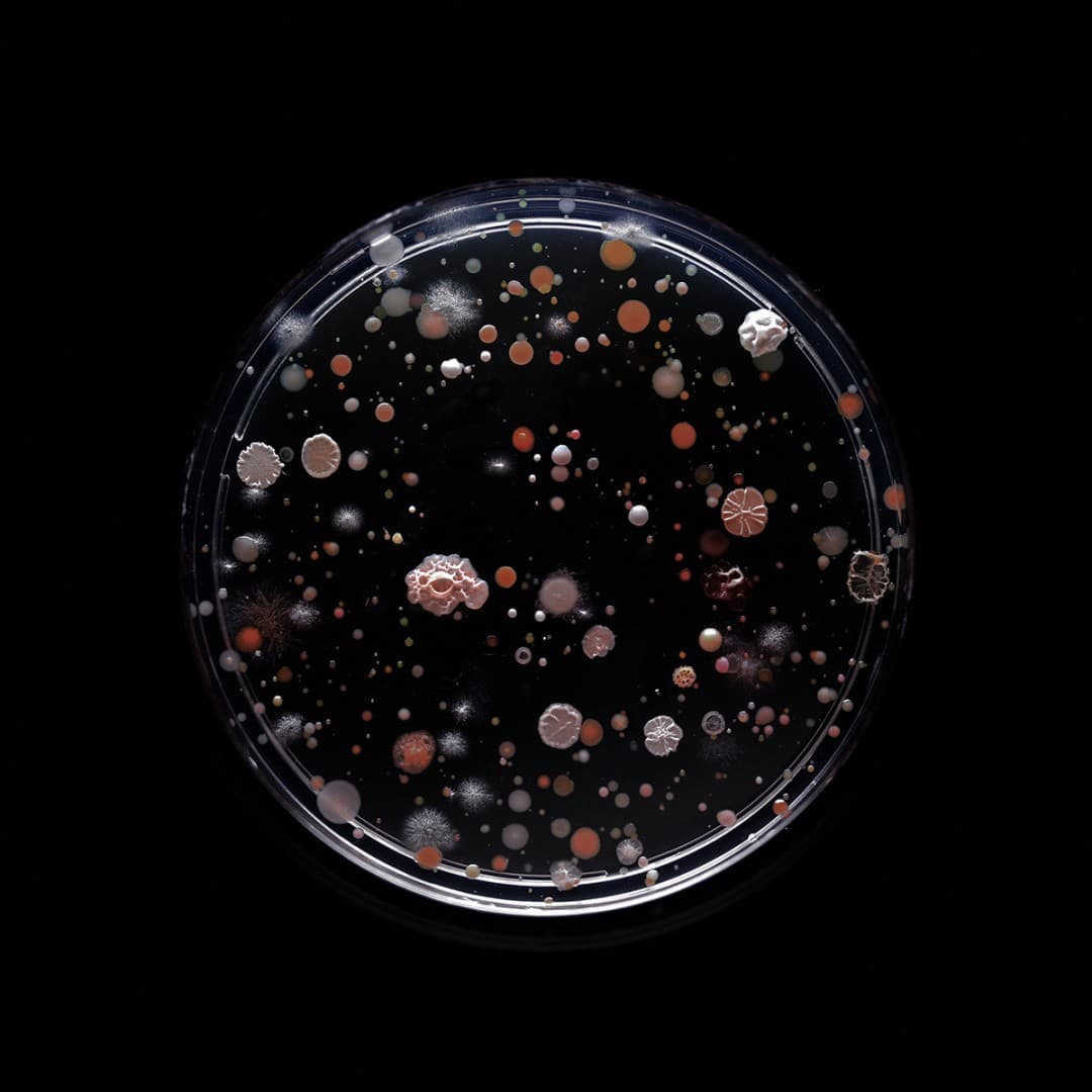 Microplastics Beverage Test