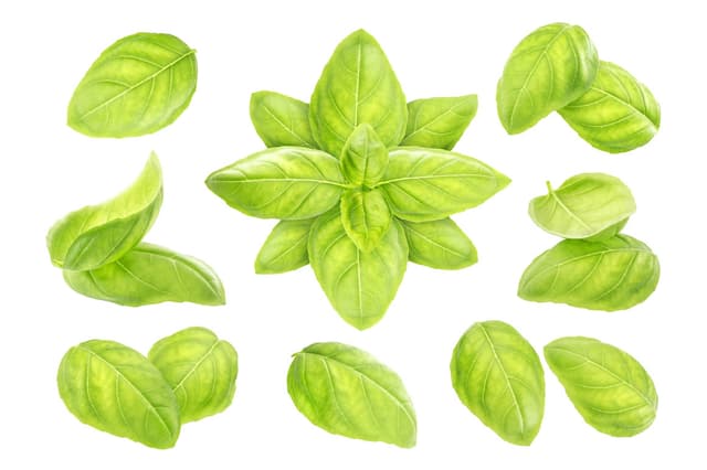 365 Organic Basil Leaves