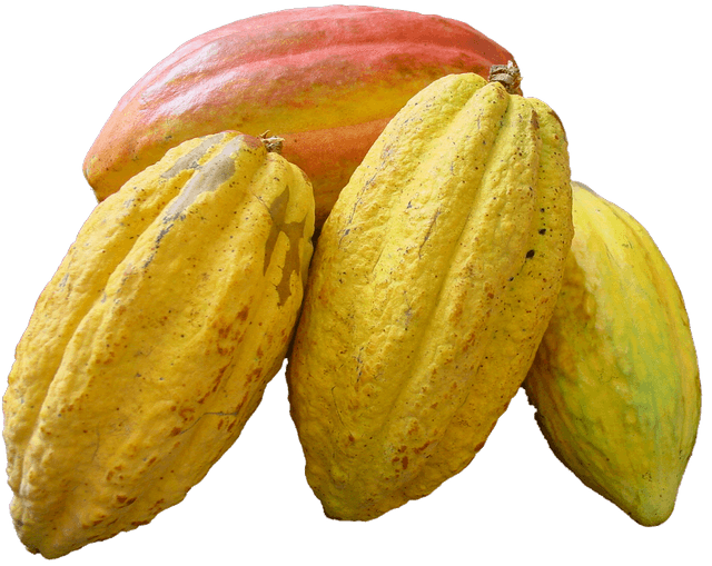 Bananinha cacao
