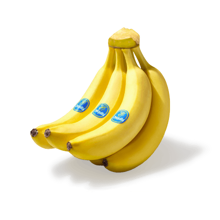 Chiquita Banana