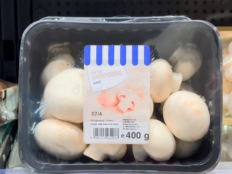 First Price Champignon