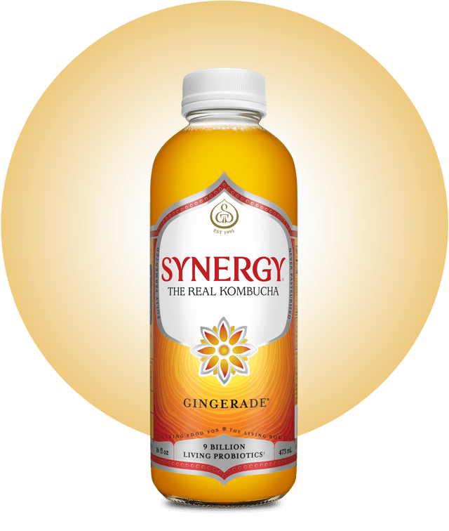 GTs Kombucha