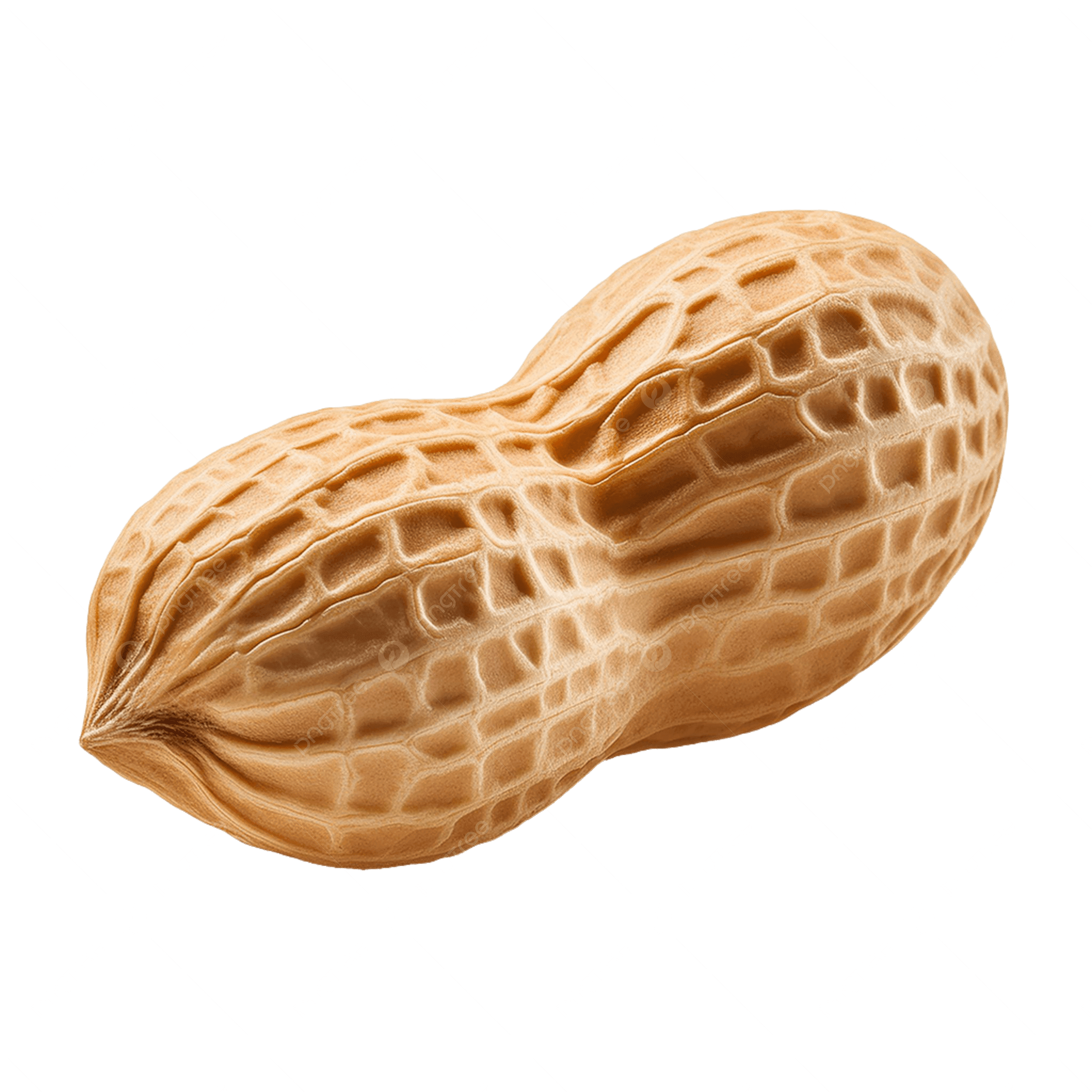 H-E-B Peanut