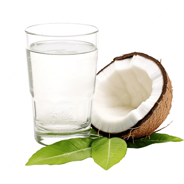 Jans Real Coconut Water