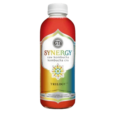 KOMBUCHA CO. Triple Ginger Glass Bottle