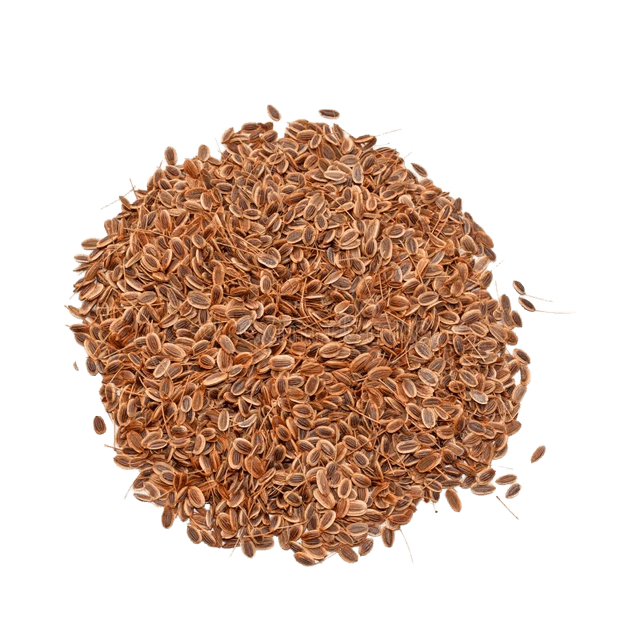 DEEP Deep Dill Seeds