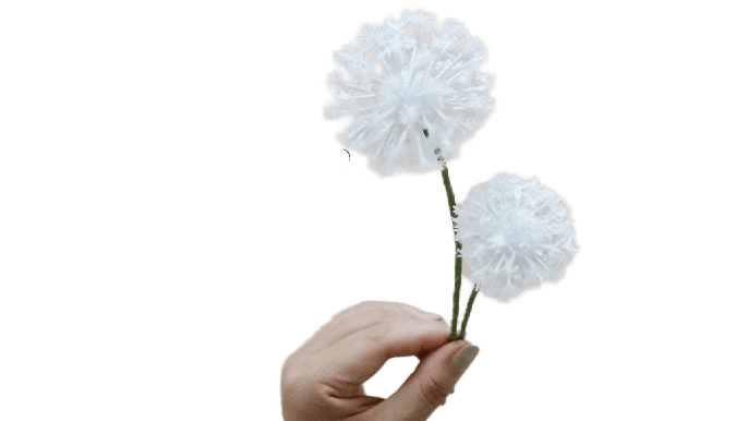 Kleenex Tissues Dandelion