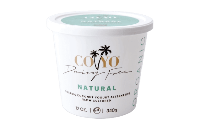 Coyo Organic Coconut Milk Yogurt Key Lime