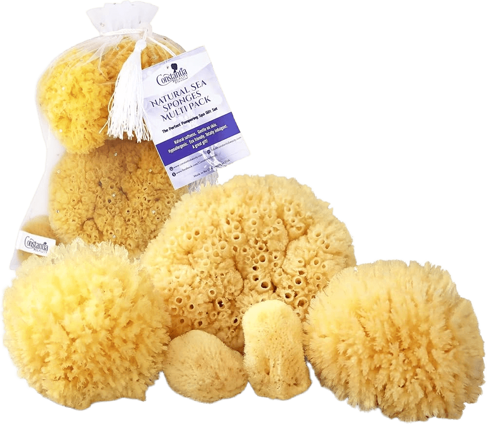 The Sponge Company 2 pcs/set (5"-6") Natural Ocean Real Sea Sponge (Set of 2)