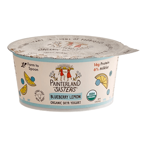 Painterland Icelandic Style Yogurt