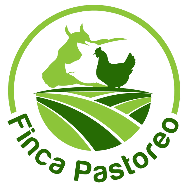Finca Pastoreo 12 Huevos Grandes