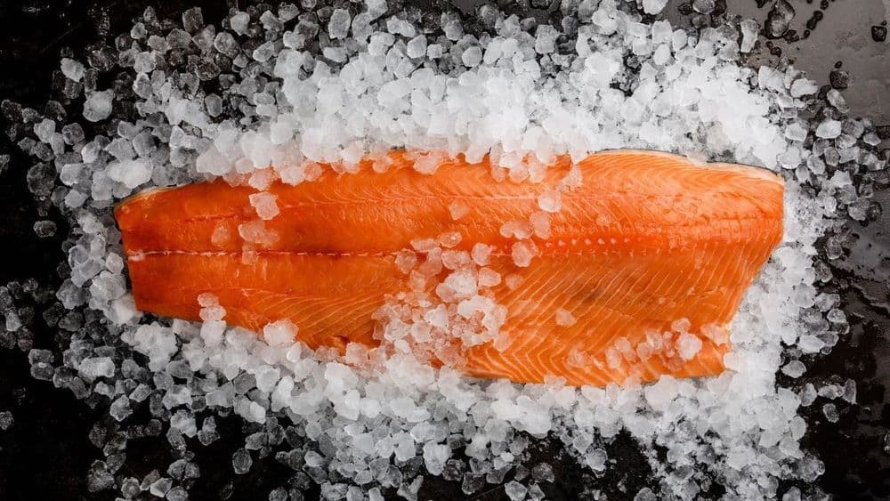 Farmed Salmon PCBs Is Higher Than Wild Salmon