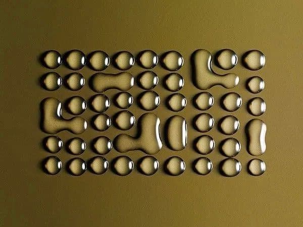 Microplastics and PFAS: Health Effects