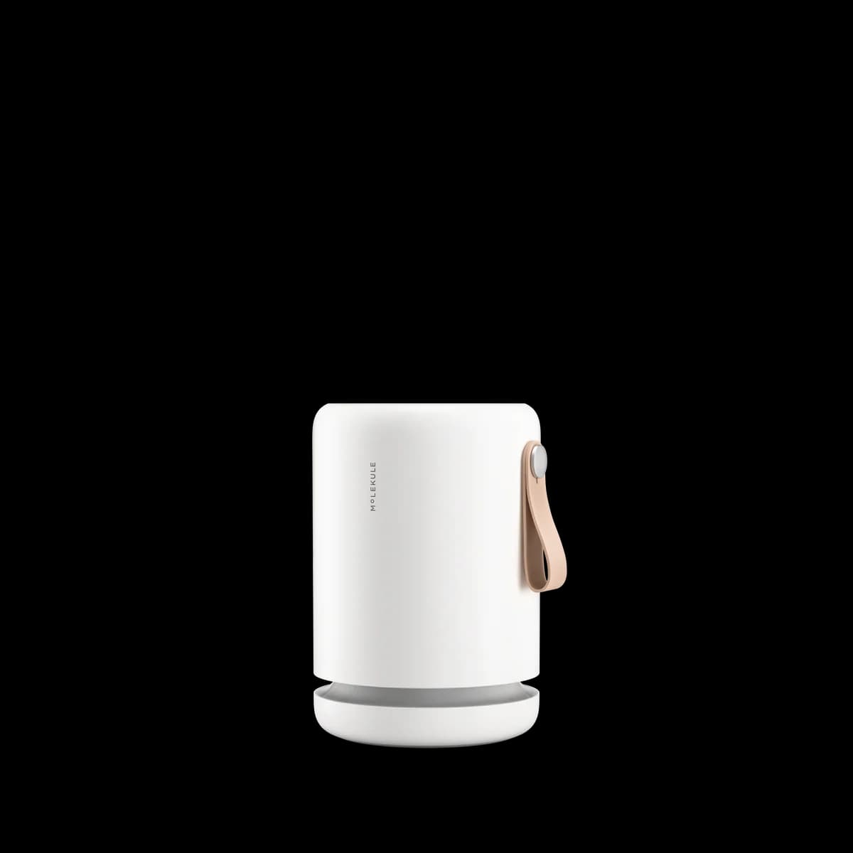 Molekule Air Mini+